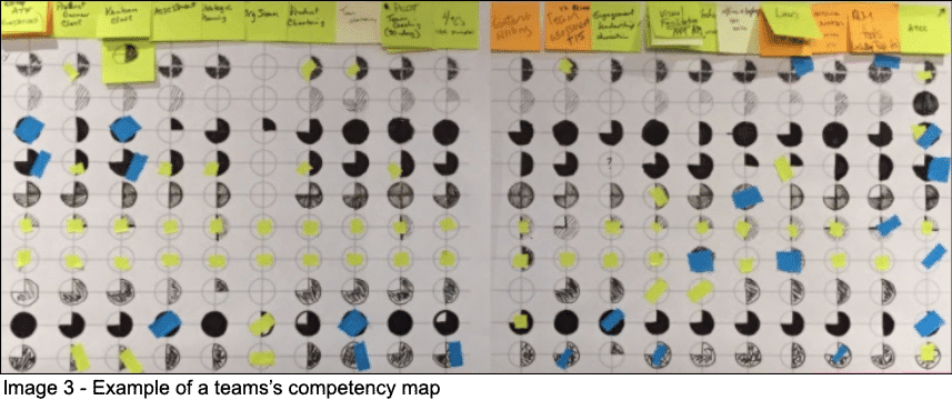 Team competency map example