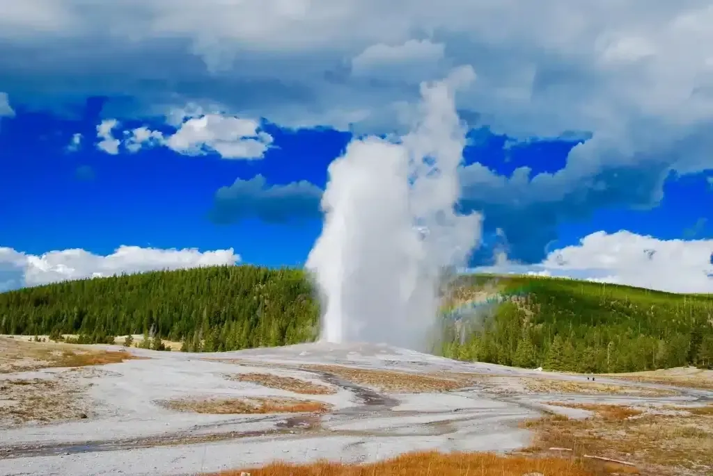 Geyser erupting in a stunning landscape with vibrant blue skies and lush greenery.