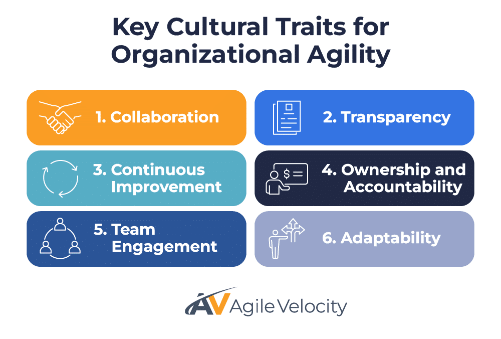 Key cultural traits enhancing organizational agility: collaboration, transparency, adaptability, and accountability.